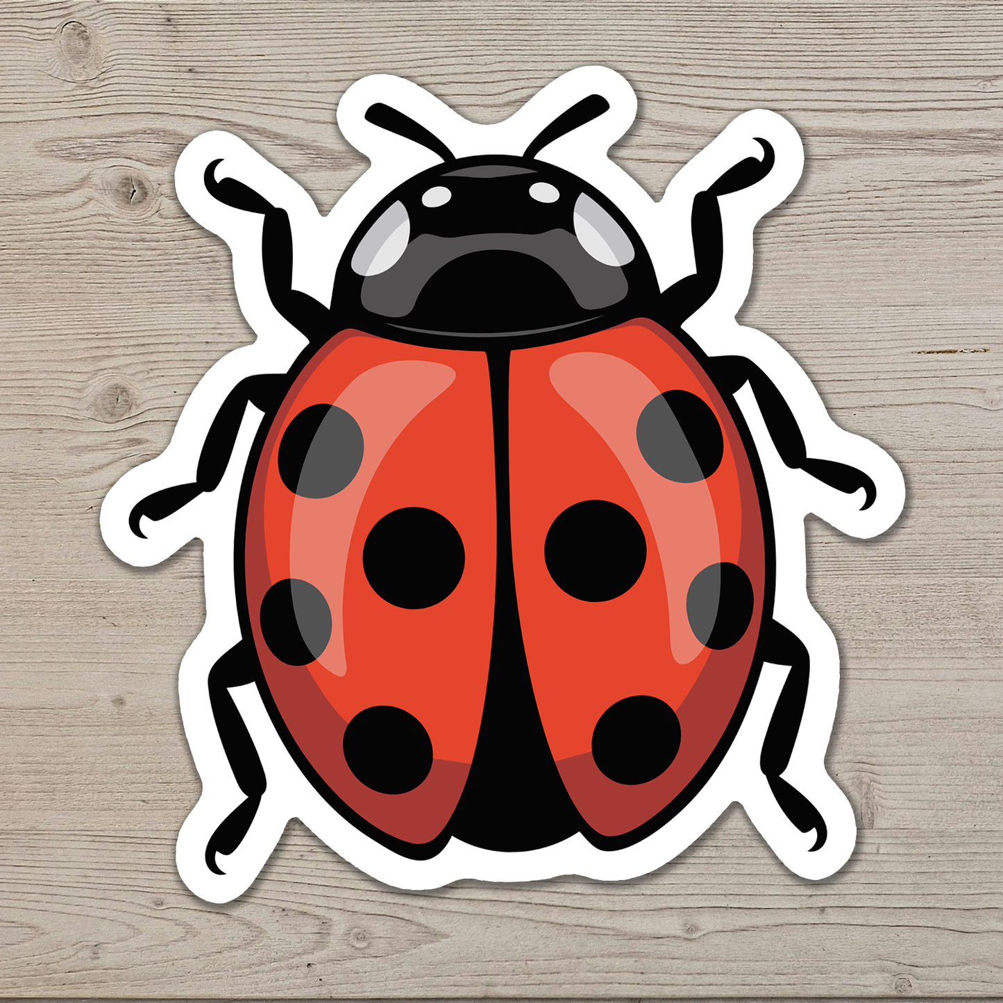 3" Ladybug Sticker - Bugs Insects Decal Stickers Ladybugs Insect Bug Waterproof Outdoor Decals