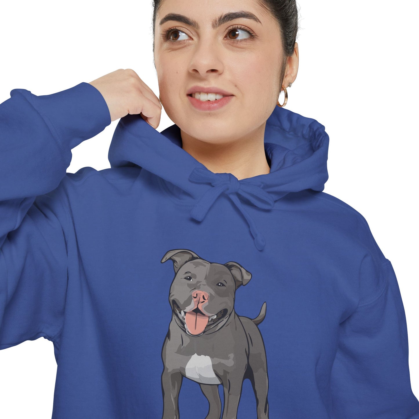 American Pit Bull Terrier Dog Hoodie, Cozy Pullover Hooded Sweatshirt, Gray Pitbull Dogs Hoodies Sweatshirts