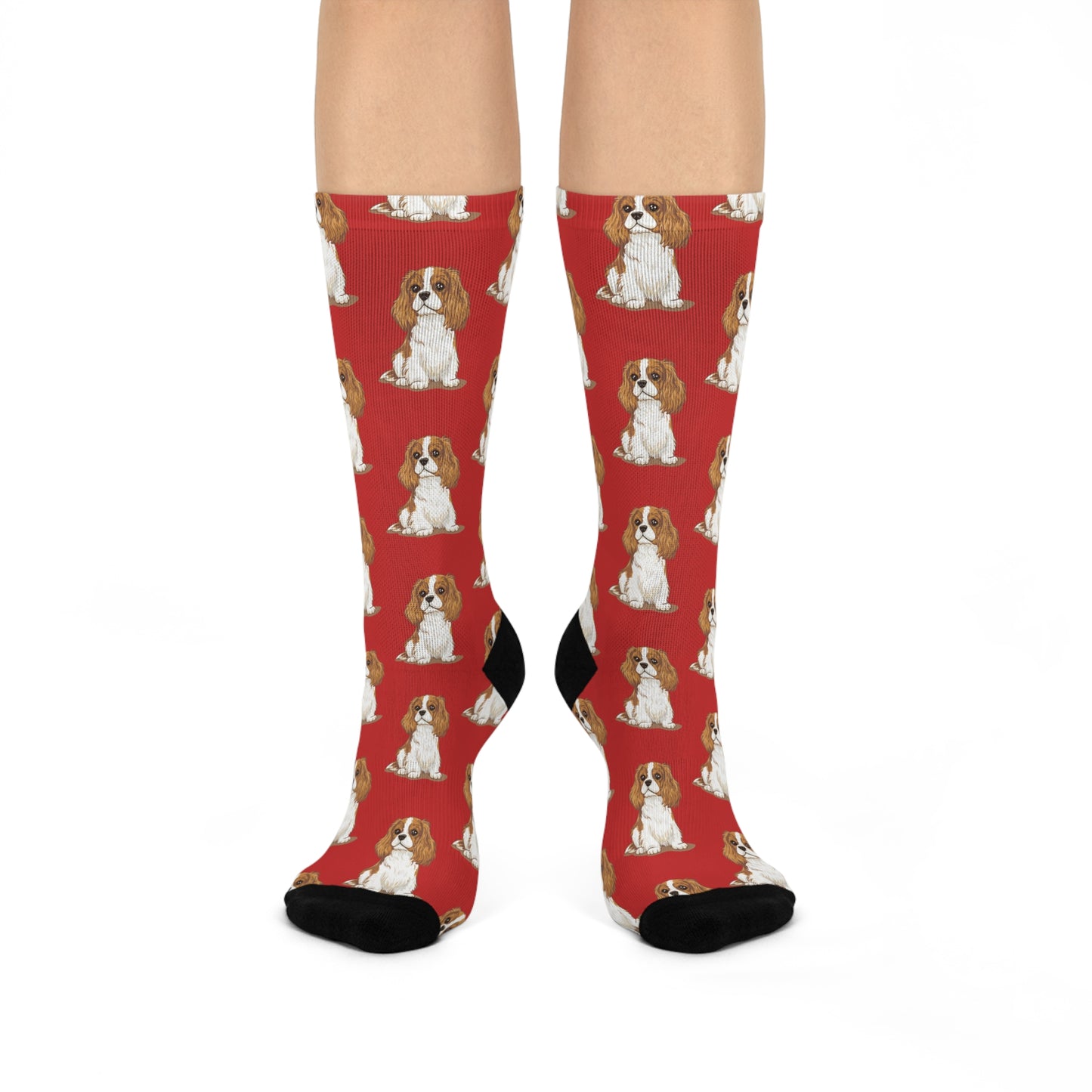 Blenheim Cavalier King Charles Spaniel Dog Pattern Red Cushioned Crew Socks with Pet Dogs Cavaliers Puppy Print