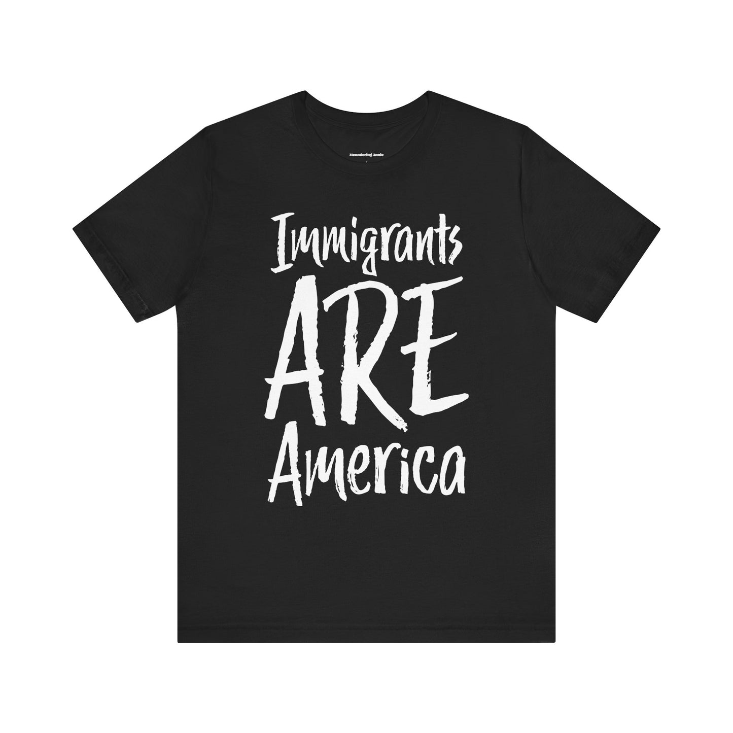 Immigrants ARE America T-shirt, Political Tee, Leftist Liberal Shirts, Abolish ICE, Human Rights Activist Unisex Short Sleeve Top