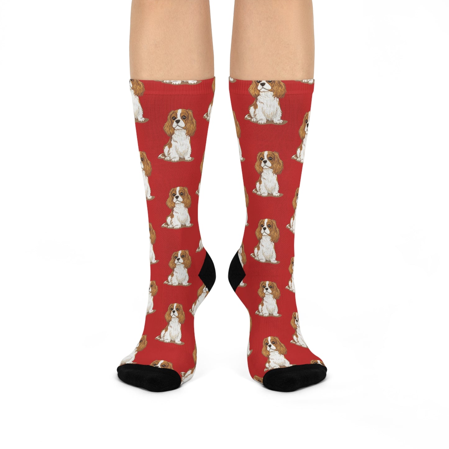 Blenheim Cavalier King Charles Spaniel Dog Pattern Red Cushioned Crew Socks with Pet Dogs Cavalier Puppy Print