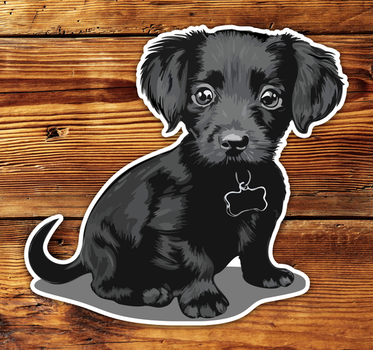 3.5" Black Chiweenie Puppy Dog Sticker - Dachshund Chihuahua Mix Dogs Waterproof Vinyl Decal Stickers Long Coat Chiweenies Puptickers (Copy)