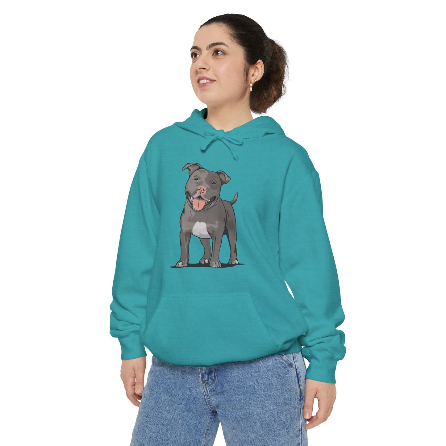 American Pit Bull Terrier Dog Hoodie, Cozy Pullover Hooded Sweatshirt, Gray Pitbull Dogs Hoodies Sweatshirts