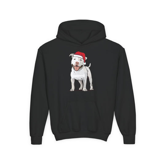 Kids Christmas Pit Bull Terrier Puppy Dog Pullover Hoodie, Kid's Holiday Xmas Santa Dogs Hooded Sweatshirt