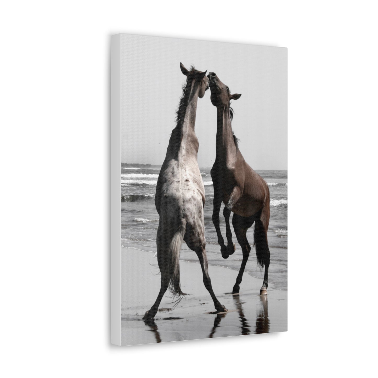 Wild Horses on the Beach Photography Canvas Gallery Wraps - Photography Wall Art Canvas Print of Horses in Mazatlan, Mexico