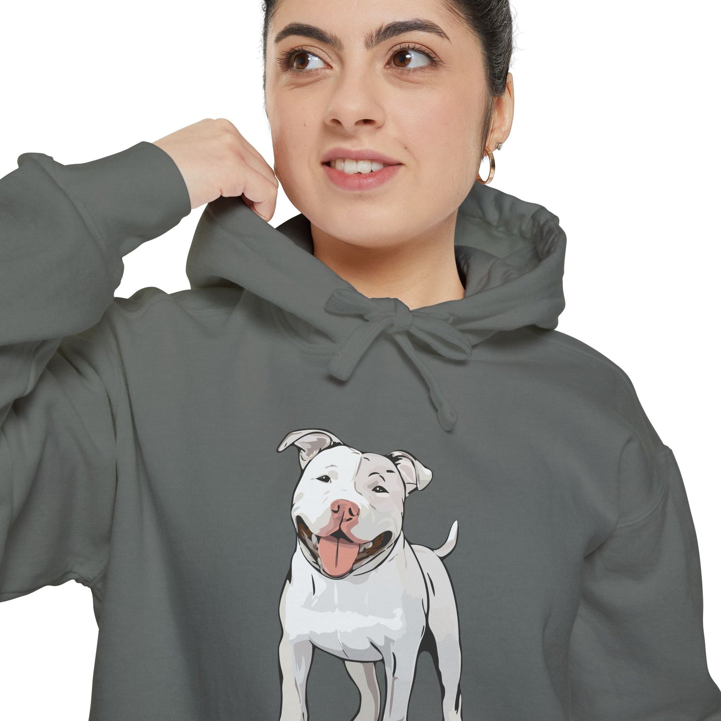 American Pit Bull Terrier Dog Hoodie, Cozy Pullover Hooded Sweatshirt, Pitbull Dogs Hoodies Sweatshirts