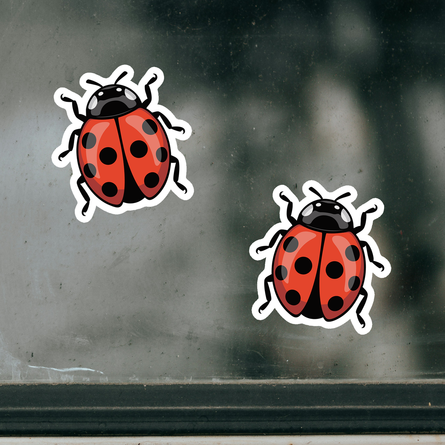 3" Ladybug Sticker - Bugs Insects Decal Stickers Ladybugs Insect Bug Waterproof Outdoor Decals