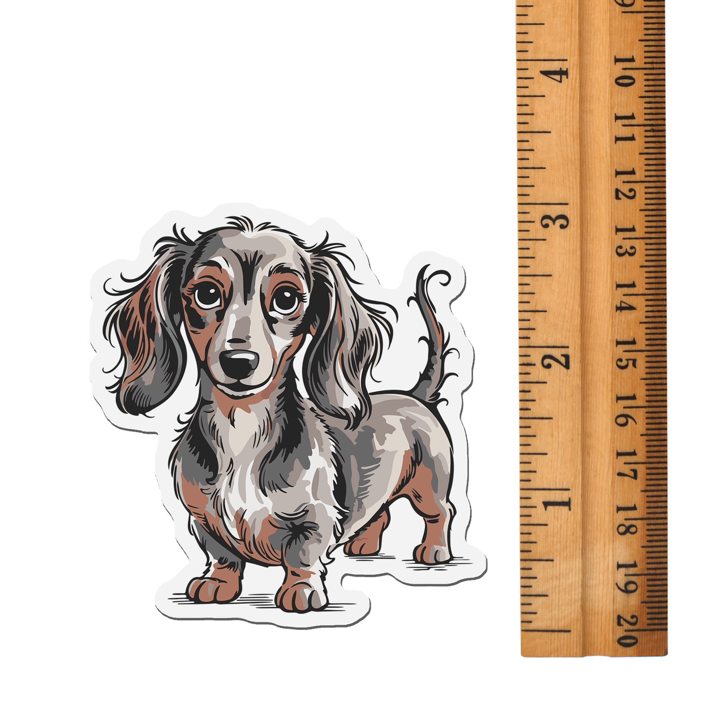Long Haired Dachshund Dog Magnet, 3" Gray & Brown Wiener Dogs Dachshunds Dogs Vinyl Fridge Magnets Indoor Outdoor