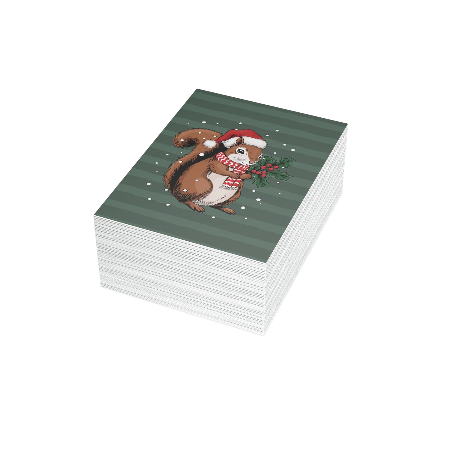Christmas Squirrel Greeting Cards, Holiday Card 10, 30, 50 Pack + Envelopes Cute Winter Squirrels Artwork