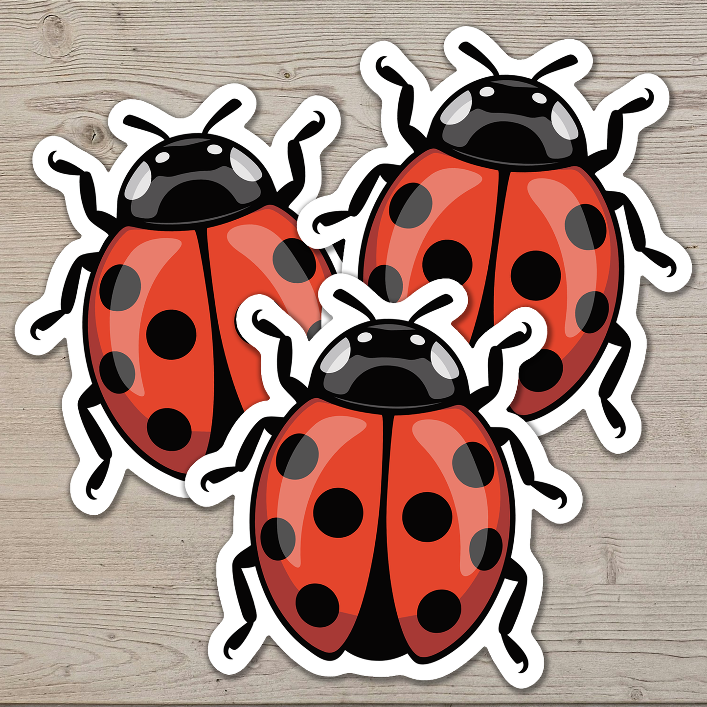 3" Ladybug Sticker - Bugs Insects Decal Stickers Ladybugs Insect Bug Waterproof Outdoor Decals