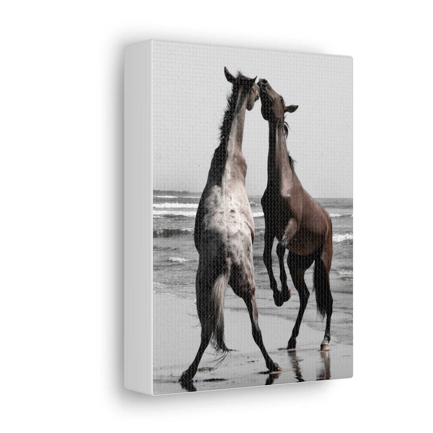 Wild Horses on the Beach Photography Canvas Gallery Wraps - Photography Wall Art Canvas Print of Horses in Mazatlan, Mexico