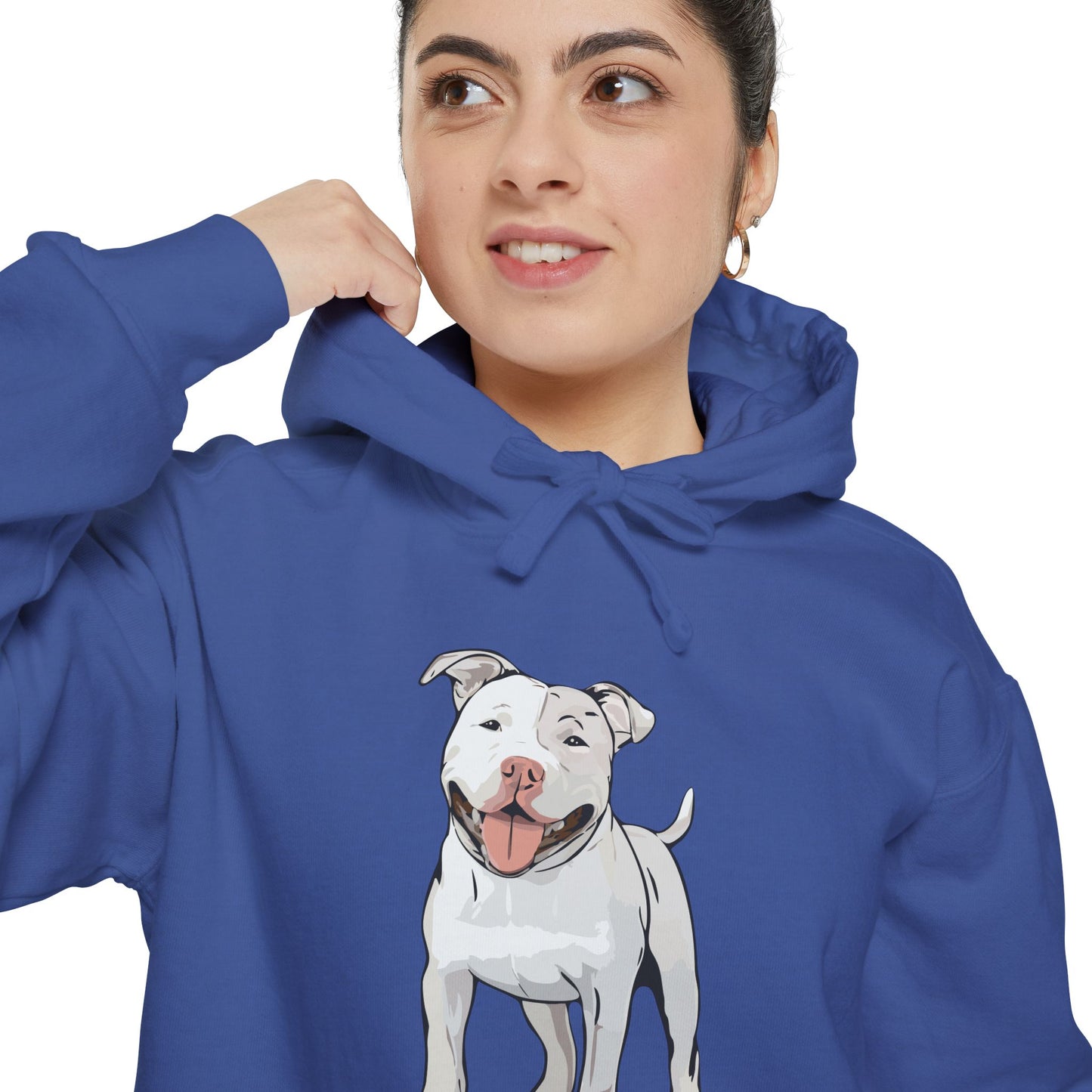 American Pit Bull Terrier Dog Hoodie, Cozy Pullover Hooded Sweatshirt, Pitbull Dogs Hoodies Sweatshirts