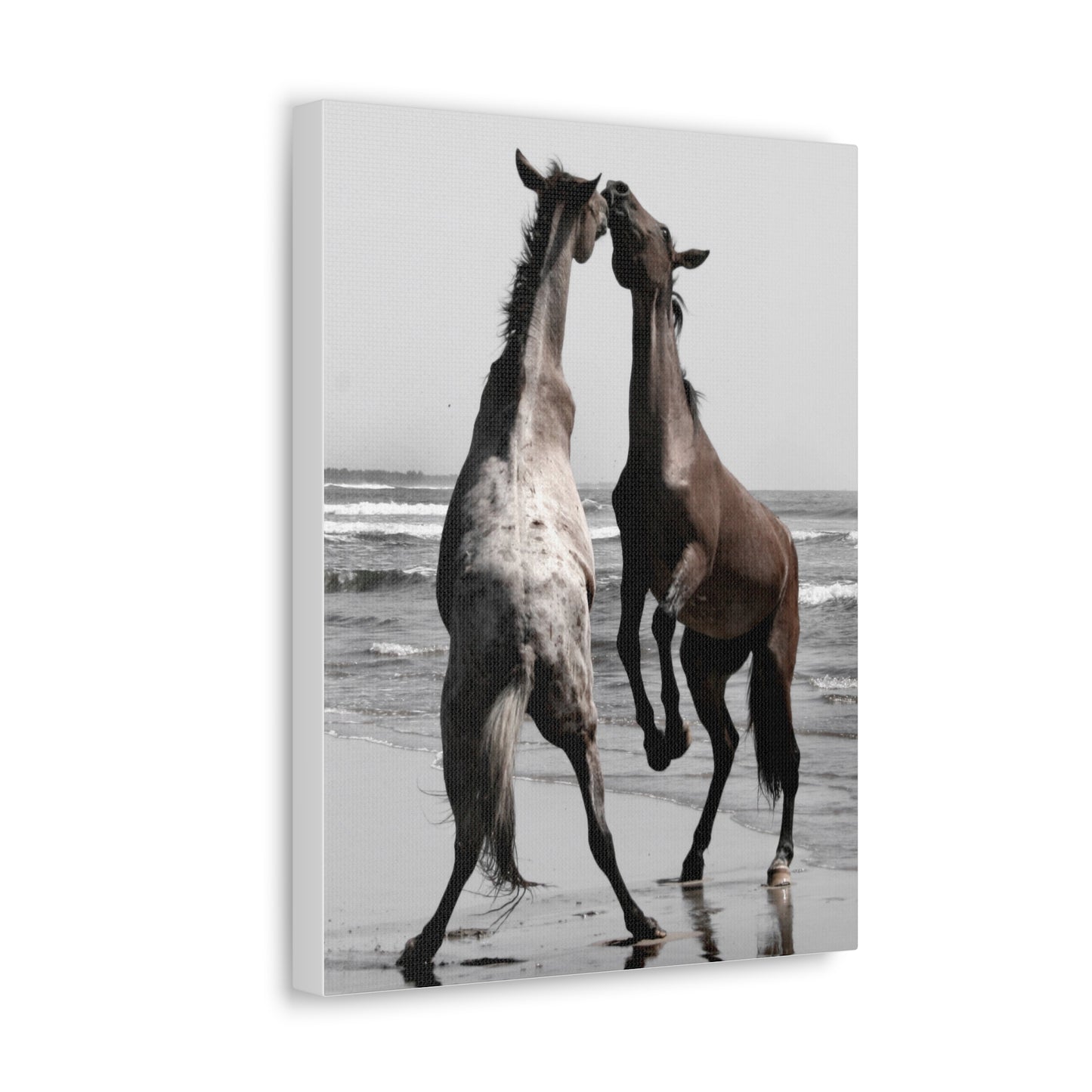 Wild Horses on the Beach Photography Canvas Gallery Wraps - Photography Wall Art Canvas Print of Horses in Mazatlan, Mexico