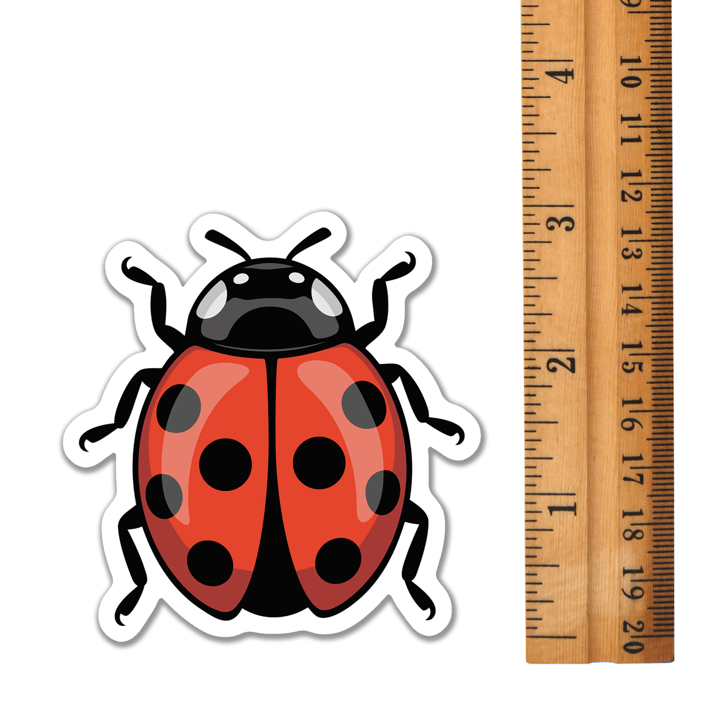 3" Ladybug Sticker - Bugs Insects Decal Stickers Ladybugs Insect Bug Waterproof Outdoor Decals