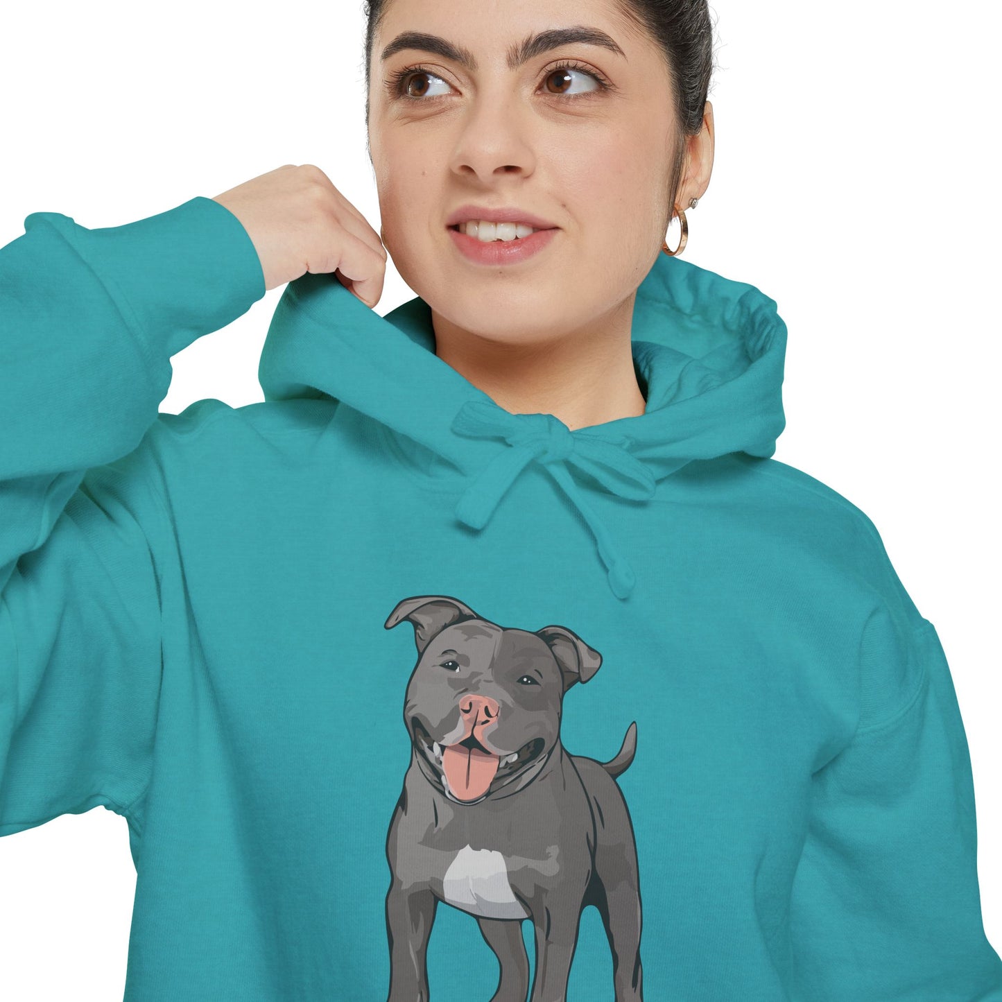 American Pit Bull Terrier Dog Hoodie, Cozy Pullover Hooded Sweatshirt, Gray Pitbull Dogs Hoodies Sweatshirts