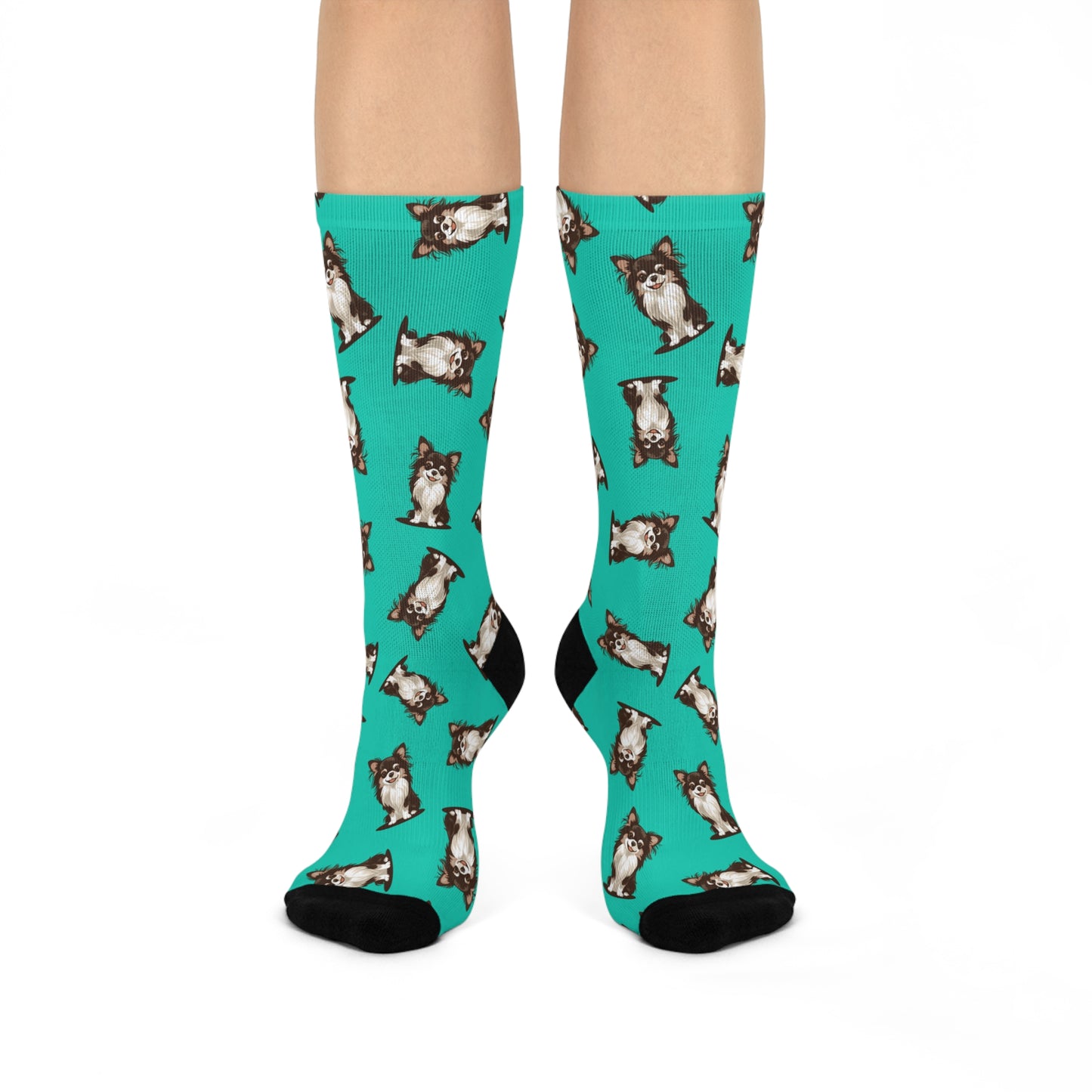 Koda Long Haired Chihuahua Dog Aqua Teal Pattern Cushioned Crew Socks With Cute Doggy Chihuahuas Pet Print