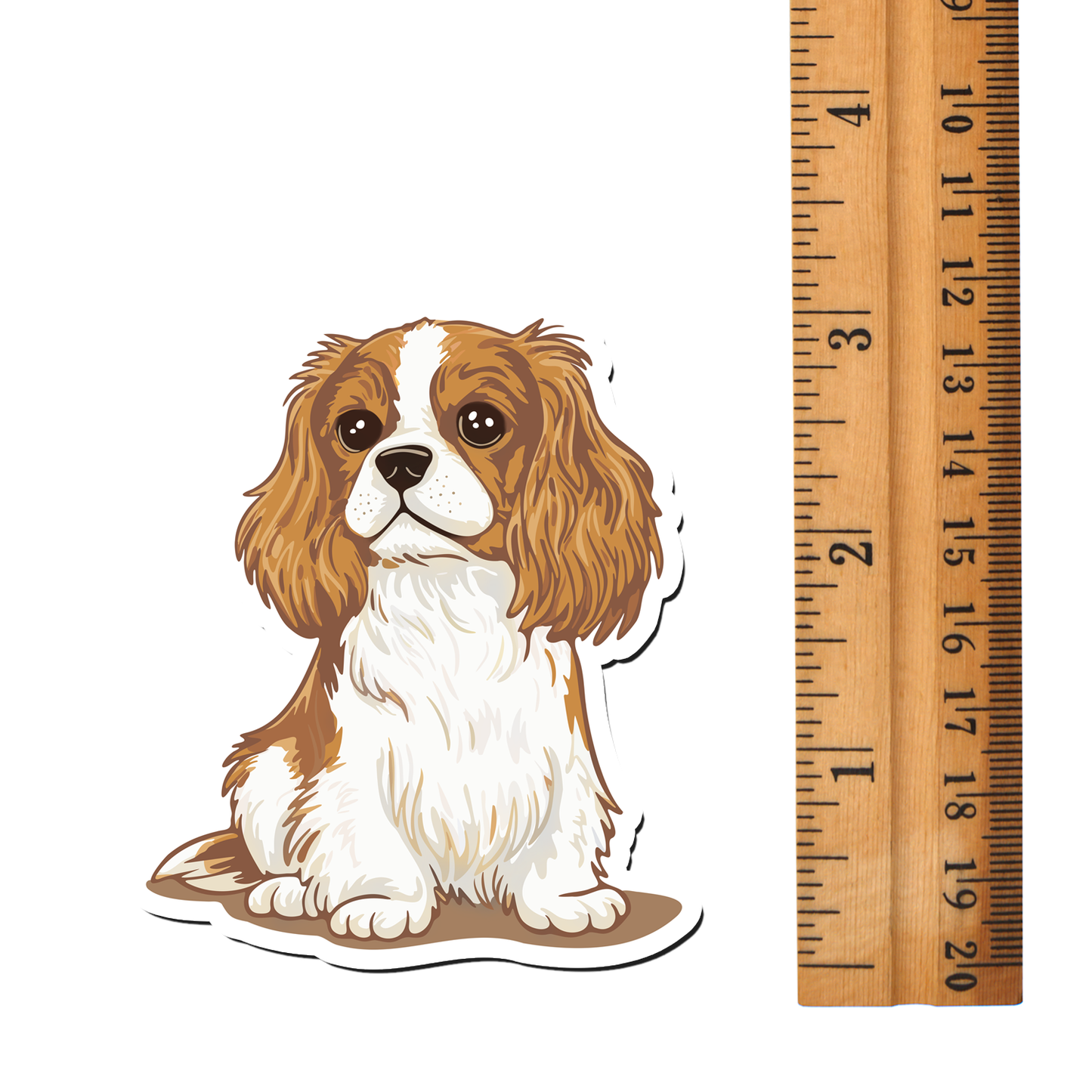 Cavalier King Charles Spaniel Magnets, 2 Pack Blenheim & Tricolor Cavaliers Dog Vinyl Fridge Magnet Bundle