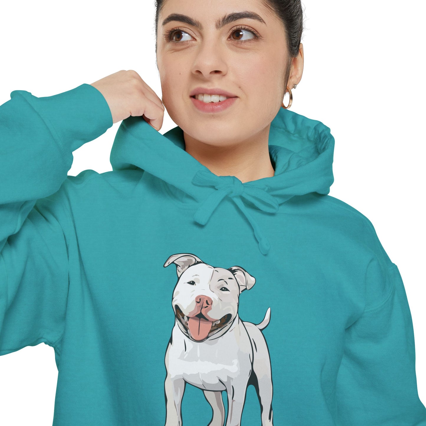 American Pit Bull Terrier Dog Hoodie, Cozy Pullover Hooded Sweatshirt, Pitbull Dogs Hoodies Sweatshirts